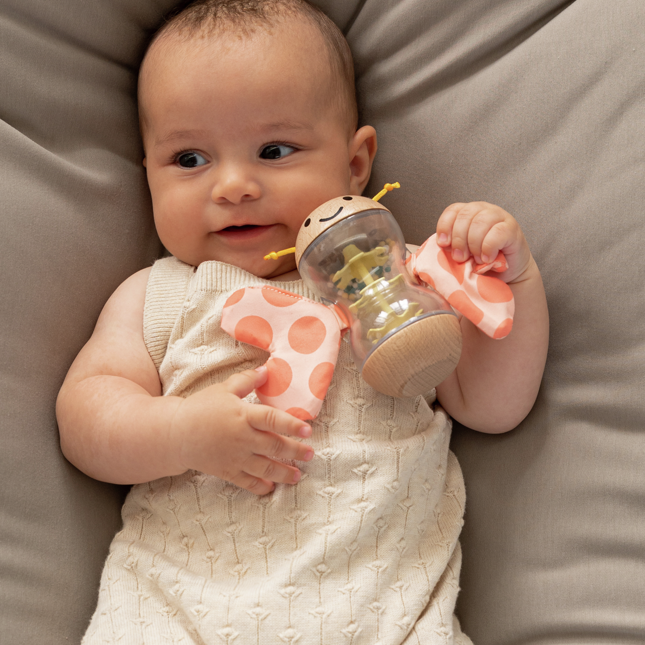 Palo de Lluvia Mariposa Robert Palo de Lluvia Mariposa Robert