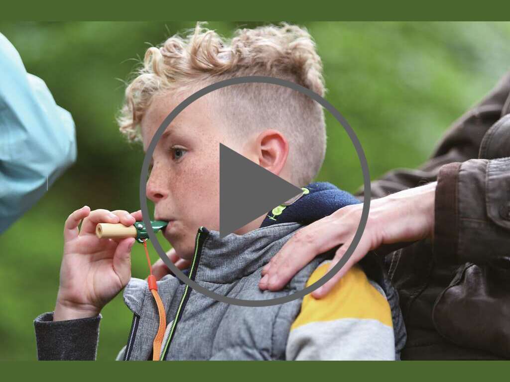 Juego de Detective de la Naturaleza Juego de Detective de la Naturaleza