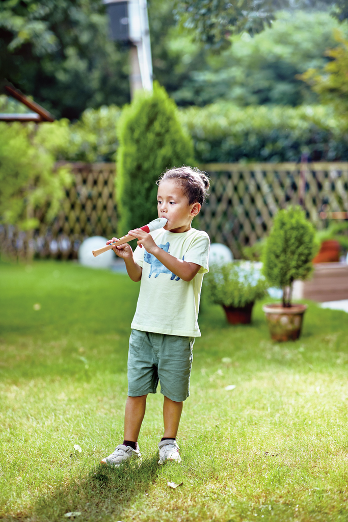 Grabadora para músicos principiantes 