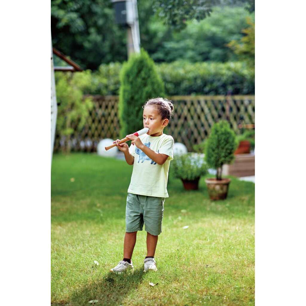 Grabadora para músicos principiantes Grabadora para músicos principiantes