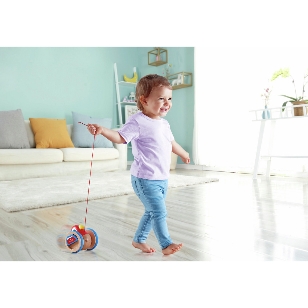 Pajarito de Arrastre Pajarito de Arrastre