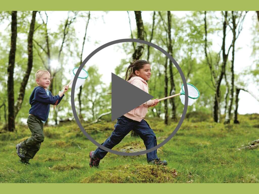 Red de Explorador Red de Explorador