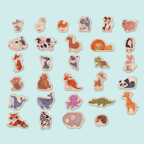 Animales Magnéticos Animales Magnéticos