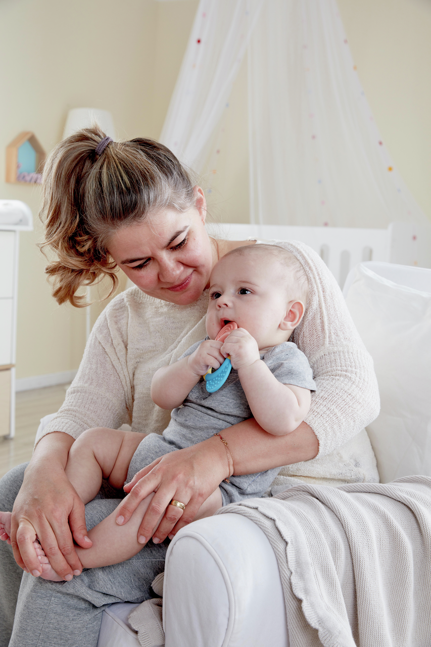 Anillo mordedor Anillo mordedor