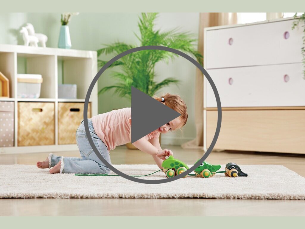 Familia de Ranas de Arrastre Familia de Ranas de Arrastre